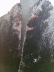 Vintage Fur Cape