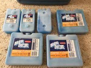 lot 220 image: Igloo 32 Can Cooler w Ice Packs