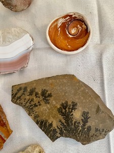 lot 396 image: Rockin Rocks and an Agate