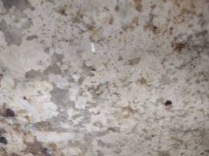 lot 43 image: (2) Granite Slabs, Approx. 72x118, ...