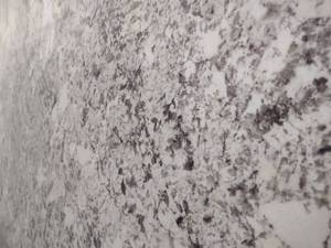 lot 55 image: (2) Granite Slabs, Approx. 74x119, ...