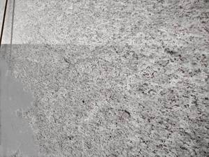 lot 81 image: (2) Quartzite Slabs, Approx. 80x137...