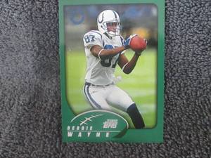 lot 60 image: 48 Reggie Wayne Cards...