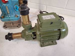 lot 198 image: (2) Water Pumps