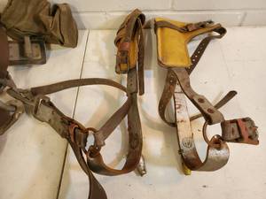 lot 202 image: Tree Trimming Saftey Harness & Climbing Spikes