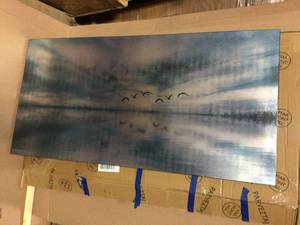 22.5 in. H x 45 in. W Birds Skylight by Parvez Taj Printed Brushed Aluminum Wall Art in good condition