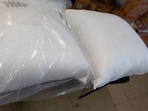 2 - 22 sq Pillow Inserts...