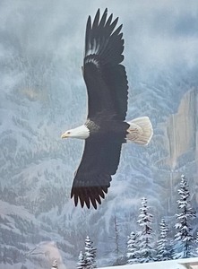 lot 10 image: Majestic Flight Limited Edition Print by Leo Stans