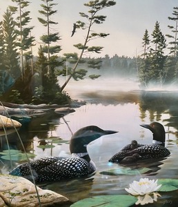 lot 8 image: Boundary Waters Print by Leo Stans