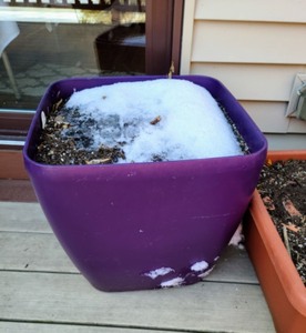 lot 321 image: Large Patio Planters