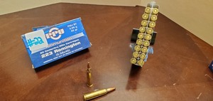 (20) Rounds .223-Rem