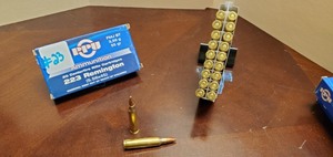 (20) Rounds .223-Rem