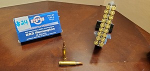 (20) Rounds .223-Rem
