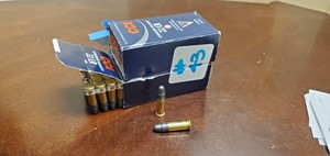 (100) Rounds .22-LR