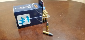 (100) Rounds .22-LR
