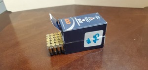 (100) Rounds .22-LR
