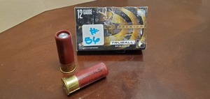 (5) 12-Gauge Rifled Slugs