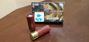 (5) 12-Gauge Rifled Slugs