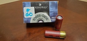 (10) 12-Gauge Rifles Slugs