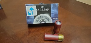 (10) 12-Gauge Rifles Slugs