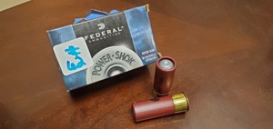 (10) 12-Gauge Rifles Slugs