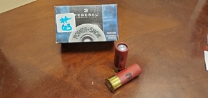 (10) 12-Gauge Rifles Slugs