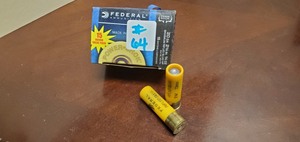 (15) 20-Gauge Rifled Slugs