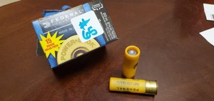 (15) 20-Gauge Rifled Slugs