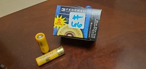 (15) 20-Gauge Rifled Slugs