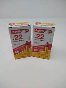100 Rounds .22 Ammunition