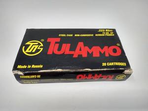 20 Rounds .223 Hollow Point Ammunition