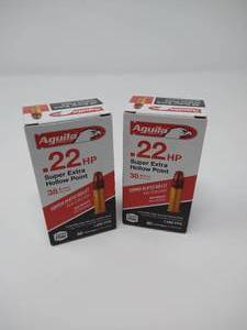 100 Rounds .22 Hollow Point Ammunition