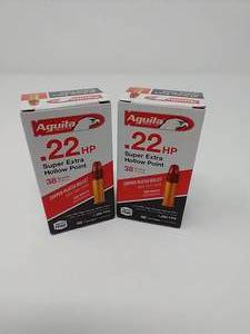 100 Rounds .22 Hollow Point Ammunition