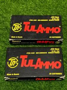 lot 19 image: 40 Rounds .223 Ammo Ammunition