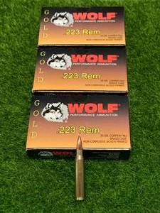 lot 48 image: 60 Rounds .223 Ammo Ammunition