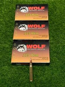 lot 49 image: 60 Rounds .223 Ammo Ammunition