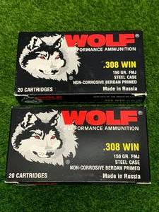 lot 61 image: 40 Rounds .308 Ammo Ammunition