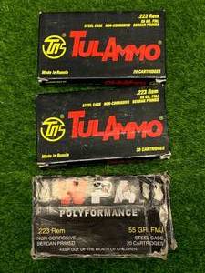 lot 103 image: 60 Rounds .223 Ammo Ammunition