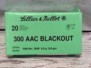 lot 111 image: 20 Rounds .300 Blackout Ammo Ammunition