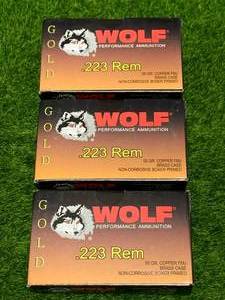 lot 174 image: 60 Rounds .223 Ammo Ammunition