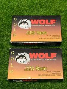 lot 175 image: 40 Rounds .223 Ammo Ammunition