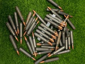 lot 195 image: 59 Rounds .223 Ammo Ammunition