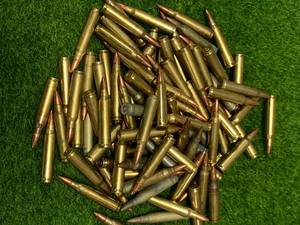 lot 196 image: 100 Rounds .223 Ammo Ammunition