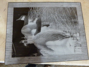 Geese Reversed Etching