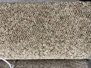 lot 971 image: 12 x 16 Carpet Remnant