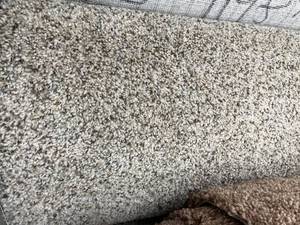 lot 976 image: 12 x 113 Carpet Remnant