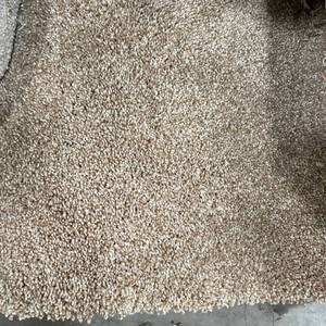 lot 798 image: 12 x 246 (294 SF) Karastan Van Gosh Spicecake Carpet Remnant