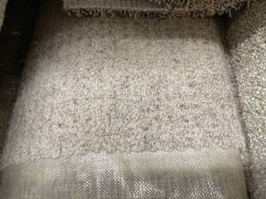 lot 795 image: 12 x 12 (144 SF) Masland Etchings Marble Edge Carpet Remnant