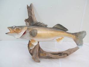 Walleye mount