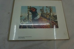 Pheasant print